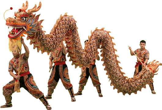 disfraz de dragon de la danza del dragon